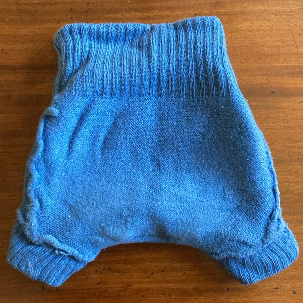 Disana and Babee Greens Wool Diaper Covers - Picture 8 of 17